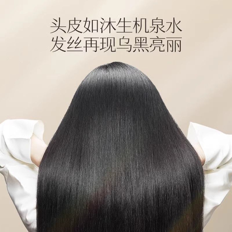 Changfa Xiaozhai Rice Water Sh - đánh giá và giá Hair Care With Rice Water
